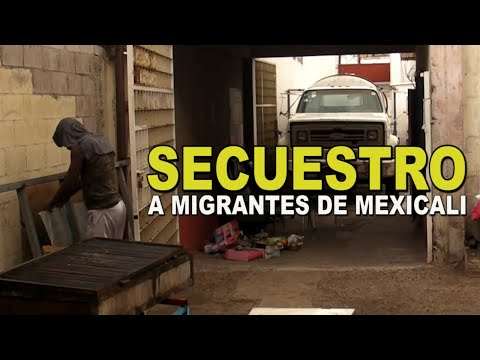 7 carpetas de