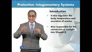 Protection: Integumentary System | Animal Form & Function 1 (Theory) | ZOO516T_Topic003
