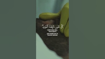 كل نفس ذائقة الموت _عبد الرحمن مسعد  #تلاوة_خاشعة #عبدالرحمن_مسعد #قرآن