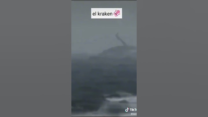 cosas vistas en el triángulo de las bermudas#triangulodelasbermudas#kraken##barco❓🚫😨🌎🥵🤙