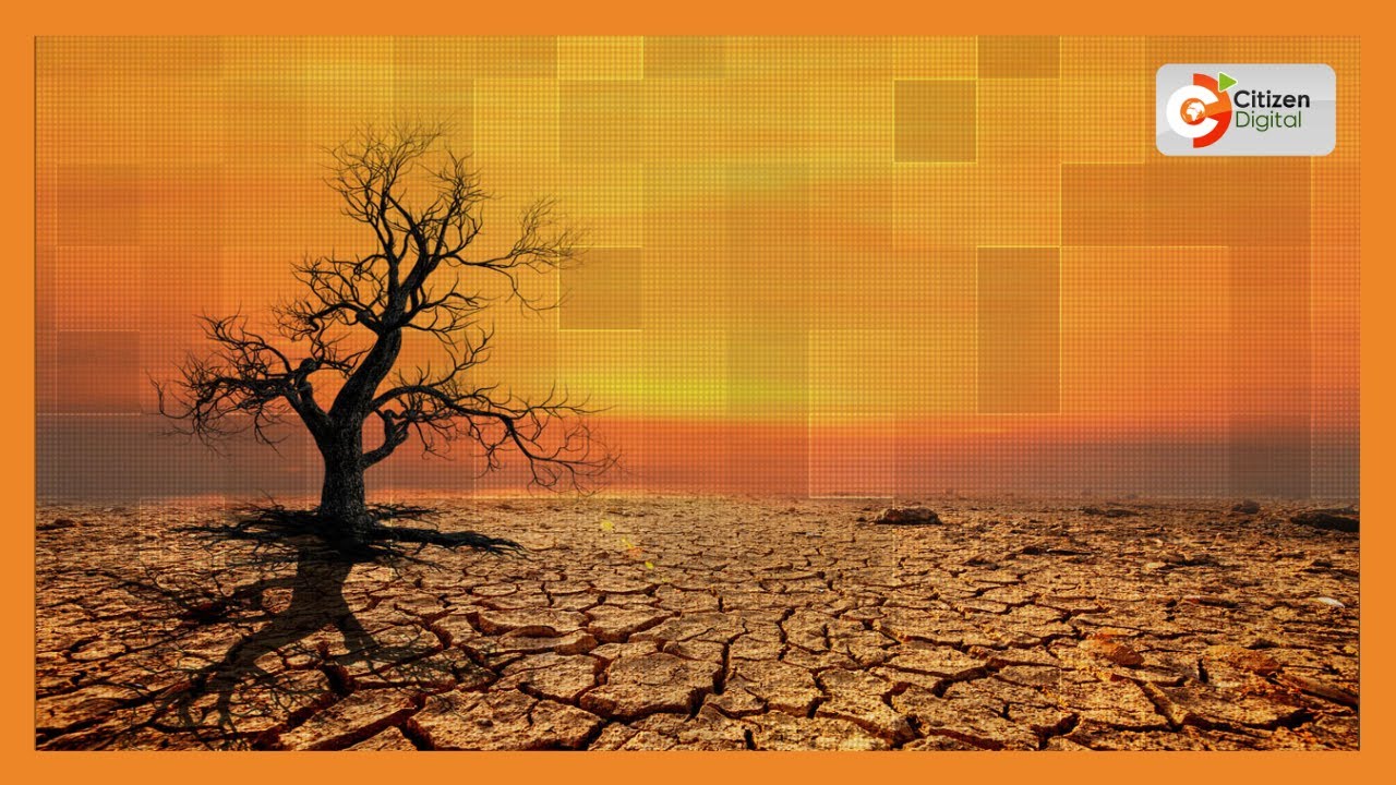 DAY BREAK | The COP28 Agenda (Part 1)