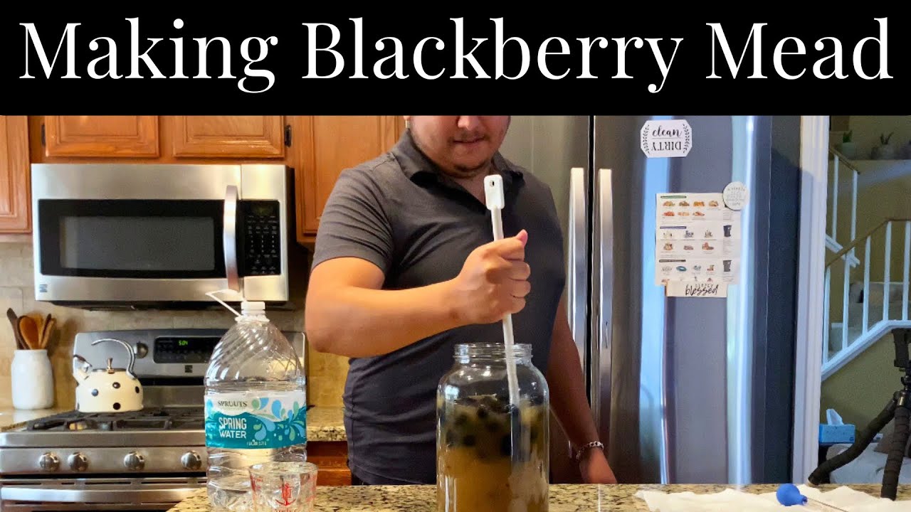 Making Homemade Blackberry Mead & Mead Tasting