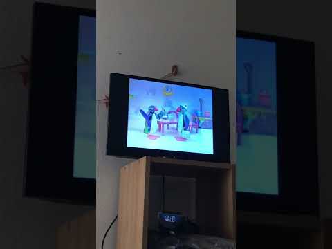 Pingu Pretends To Be Sick Voiceovers 4th Of July Special