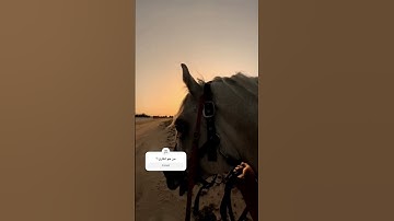 سبحان الله #تلاوة_خاشعة #راحة_نفسية #قرآن