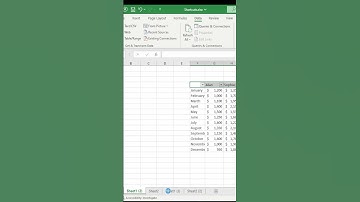 Filtering data in Excel #shorts #youtubeshorts