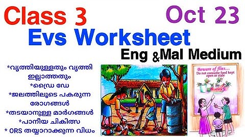 Class 3 Evs Worksheet Oct 23/Std 3 Evs Worksheet 23/10/21/3 Class evs worksheet/victers class 3