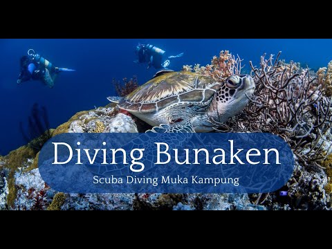 In the Heart of Bunaken: Muka Kampung's Turtle Paradise #scubadiving #indonesia #turtles