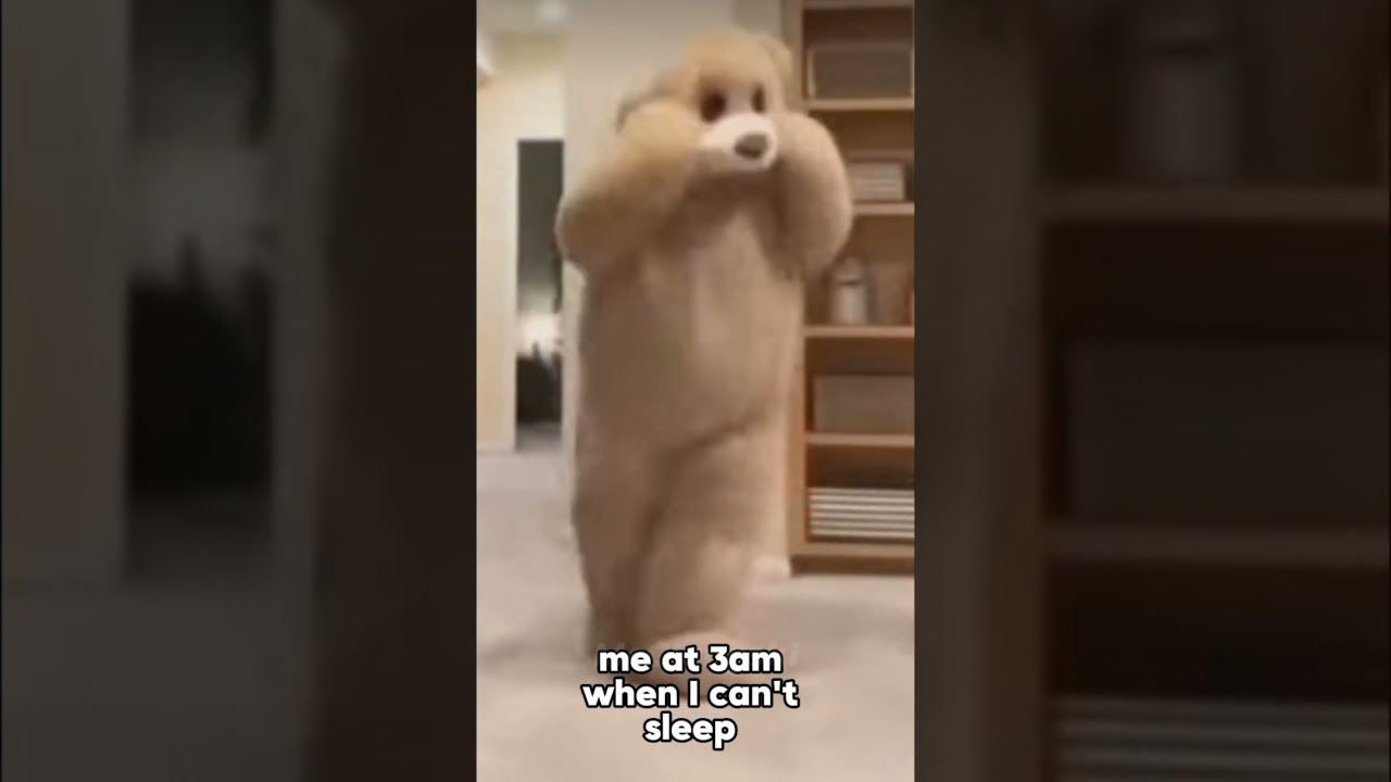 Me At 3am When I Can T Sleep Funny Meme 
