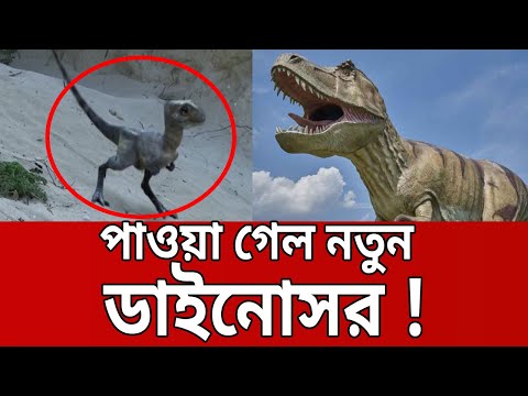 ভিডিও: স্কেলিটোথ: প্রজাতির বৈশিষ্ট্য