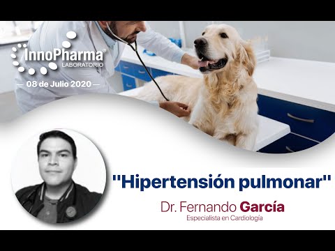 Video: Hallazgos Sobre La Hipertensión Pulmonar Canina