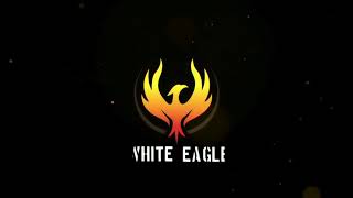 White eagle #firstvideointro