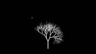 fractal tree
