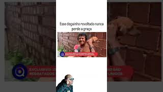 Não dá entrevista Marcia 🤣 #cachorro #pets @chacaradosfilas6647