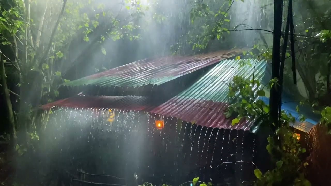 Strong Rain Sounds for Sleeping | No Thunder (3 Hours)