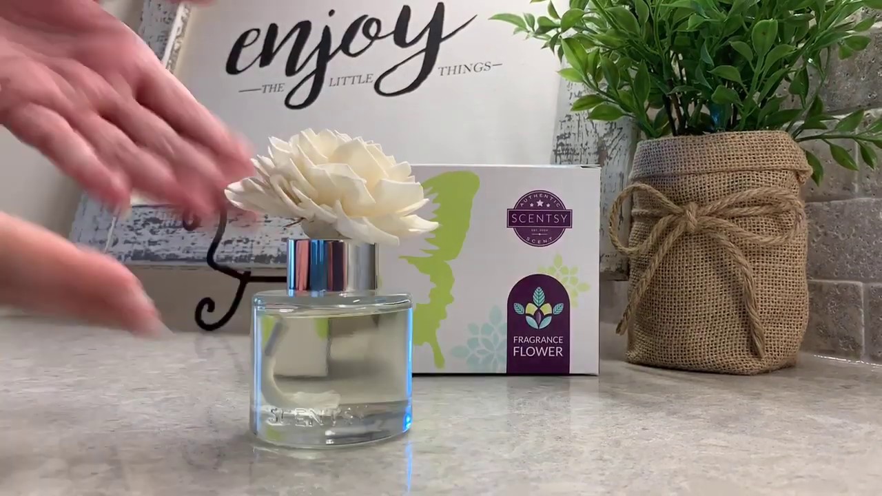 Scentsy Fragrance Flower Set Up Instructions YouTube