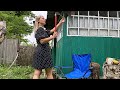 The Grass Was Out of Control! Huge Yard Cleanup & Campfire Shawarma 