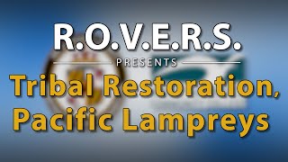 R.O.V.E.R.S. Presents: Virtual Ranger - Tribal Restoration & Pacific Lampreys