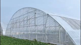 Kingzo Roll Up Motor Drive Used For Greenhouse Ventilation