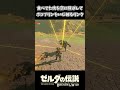 ボコブリンが食べてた肉を飛ばしていじめるリンクｗｗ【ゼルダの伝説 ブレス オブ ザ ワイルド】