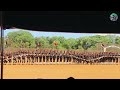 හරිම ලස්සන ආඩම්බර දවසක් 💗 SRI LANKA ARMY @militaryforcessrilanka #srilanka #army #passingout