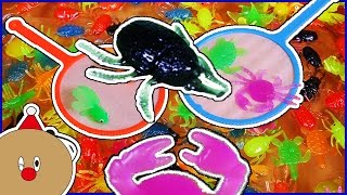 アンパンマン おもちゃ 水遊び 金魚すくい 昆虫採集？！ カニすくい？ カブトムシ クワガタいっぱい Toy Kids トイキッズ animation anpanman