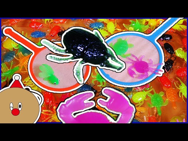 금붕어 뜰채 장난감