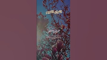 سورة الفلق #القرآن_الكريم #foryou #islamicvideo #quran #shortvideo #malikzaheerd3t