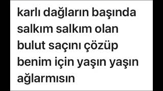 karlı dağların başında salkım salkım olan bulut saçını çözüp benim için yaşın yaşın ağlarmısın