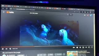 Children Of The Night Rio Pmv