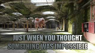 PIGS- Sycamore Square Group- Making the Impossible Possible