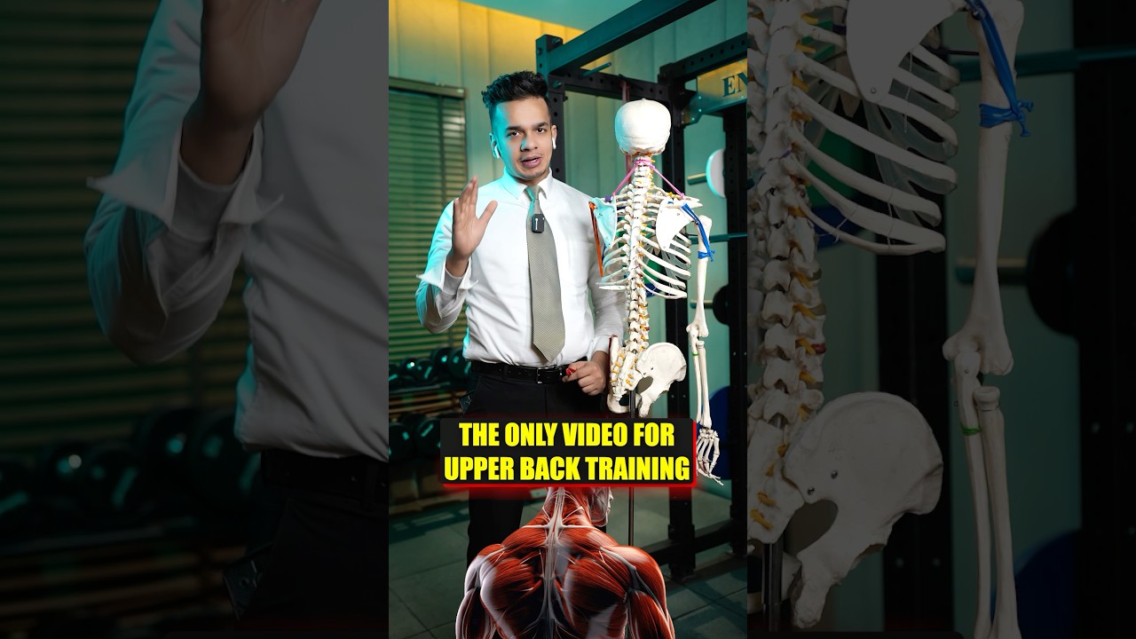 Best exercises to train upper back. 