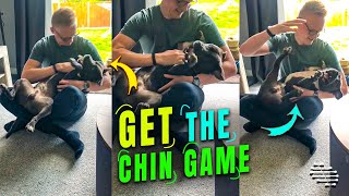 Dog Loves Playing ‘Get the Chin’ Game with Dad