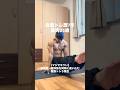 【マジでキツい】腹直筋・腹斜筋を同時に追い込む腹筋トレ５種目#腹筋 #自重トレーニング #abs