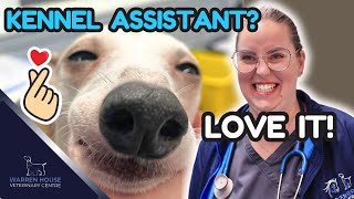 Check Lizzie's Day As A Kennel Assistant