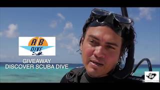 Discover Scuba Diving in Bonaire