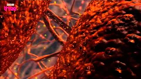 How Does Cocaine Affect The Brain? - How Drugs Work, Cocaine, Preview - BBC