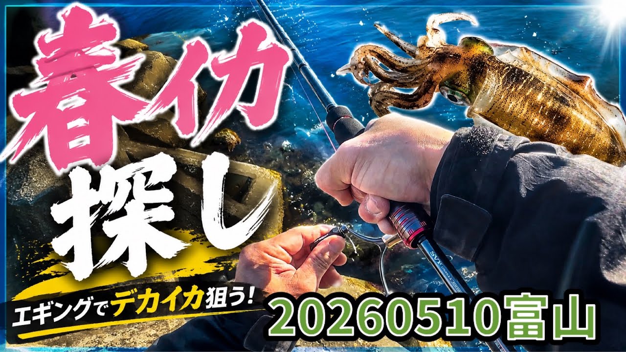 23春イカエギング大型アオリイカ探し20260510 - YouTube