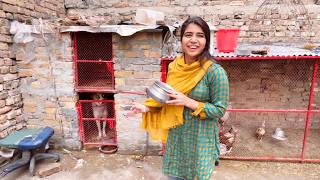 Mama Ka Raaz Mene Faash Kar Diya Badlay Me Mera Raaz Rabia Simple Vlog