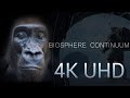 4K | Biosphere Continuum FULL MOVIE - Extended Version.