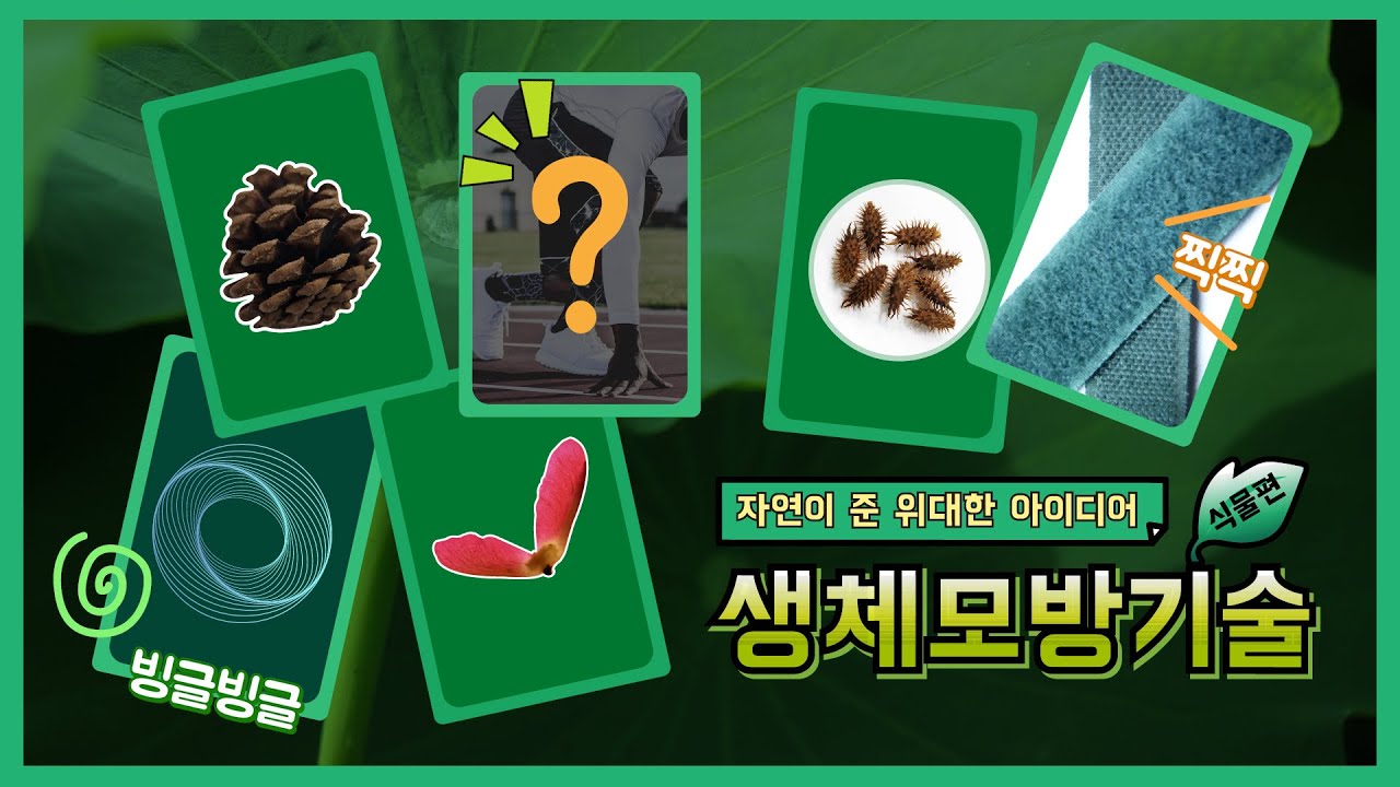 교육]자연이 준 위대한 아이디어 생체모방기술 식물편 - Youtube