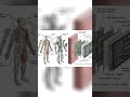 100% Autonomous: AI Can Now Use Any Software [NEW] #Shorts