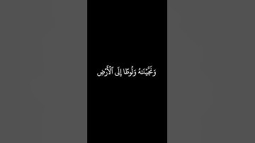 كروما قران شاشة سوداء | محمد أيوب من سورة الأنبياء | من آية ٦٩ إلى آية ٧٢ #كرومات_قرآن #quran
