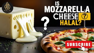 Is Mozzarella Cheese Halal? Everything You Need to Know