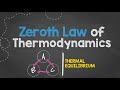 Understanding the Zeroth Law of Thermodynamics