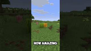 Melon next to a honey block