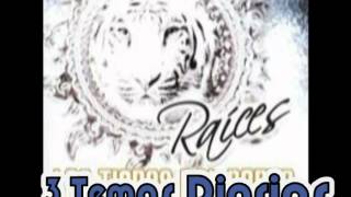 Video thumbnail of "Tu Recuerdo y Yo__Los Tigres del Norte Album Raices (Año 2008)"