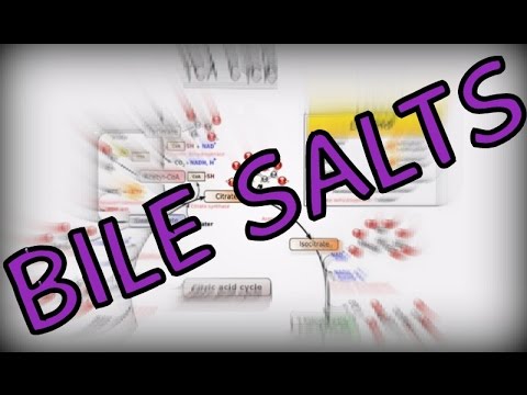 Bile Salts - Conjugated Bile Acids