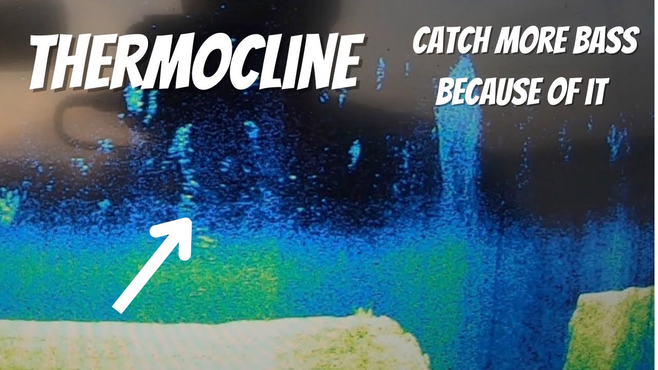 Thermocline (What it is and translating it so you catch more BASS