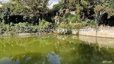 🌺القرآن الكريم 🌺ما تيسر من سورة آل عمران ■