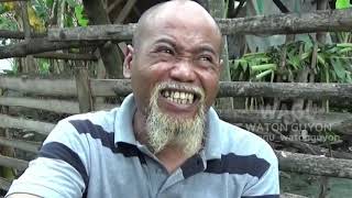 Pak Ndul-BRONTOSAURUS DOBOLODON